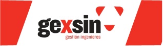 Logo Gexsin